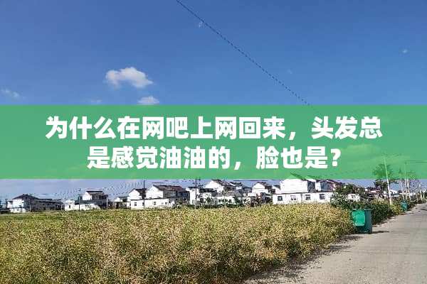 为什么在网吧上网回来，头发总是感觉油油的，脸也是？