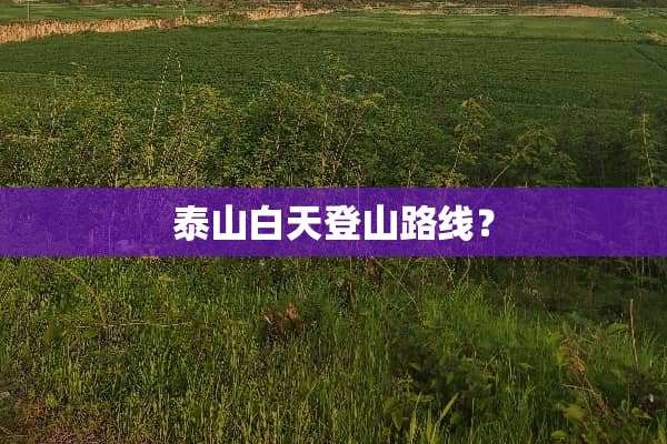 泰山白天登山路线？