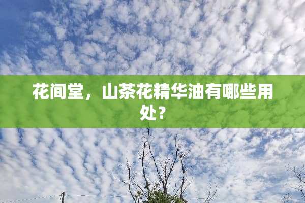花间堂，山茶花精华油有哪些用处？