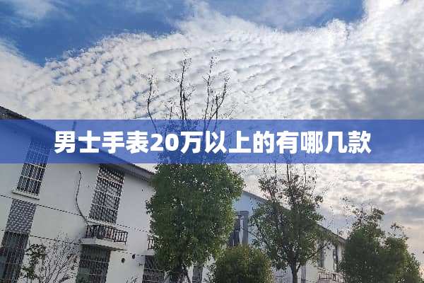 男士手表20万以上的有哪几款