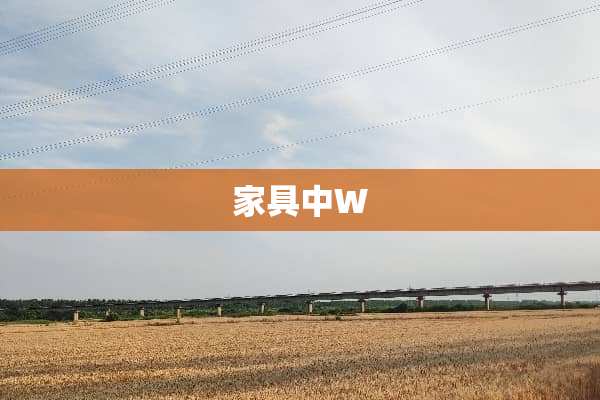 家具中W