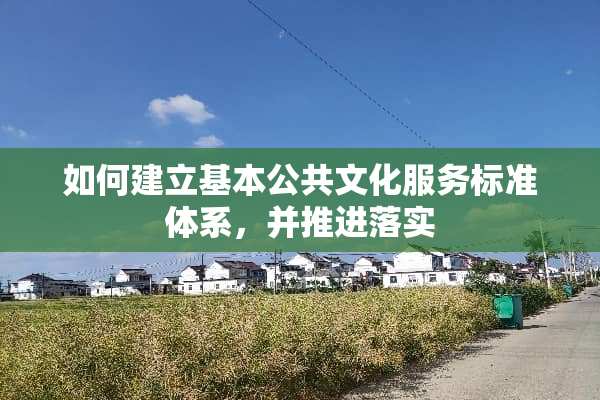 如何建立基本公共文化服务标准体系，并推进落实