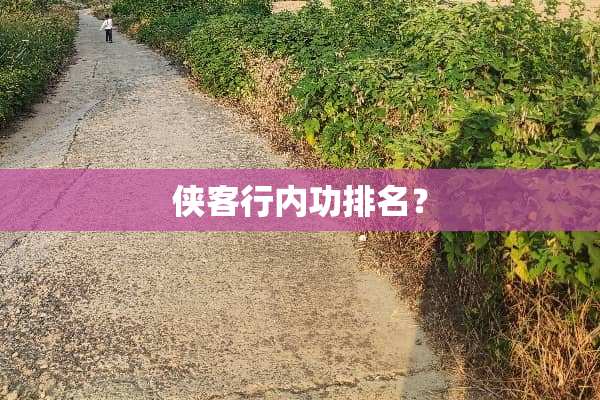侠客行内功排名？