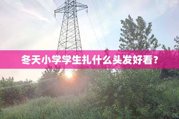冬天小学学生扎什么头发好看？