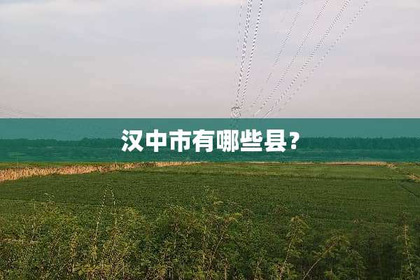 汉中市有哪些县？