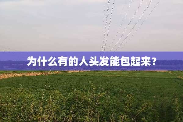 为什么有的人头发能包起来？