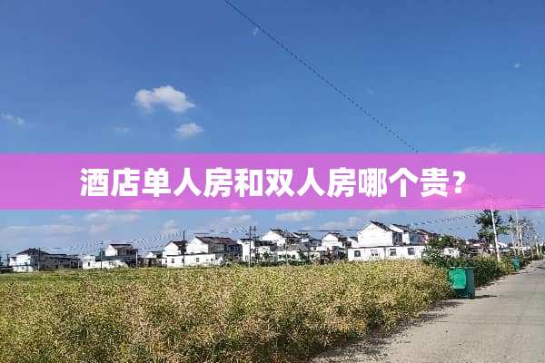 酒店单人房和双人房哪个贵？