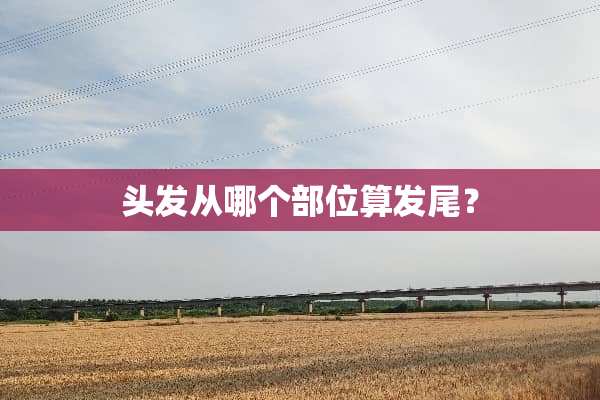 头发从哪个部位算发尾？