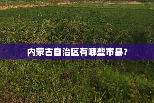 ***自治区有哪些市县？