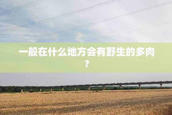 一般在什么地方会有野生的多肉？