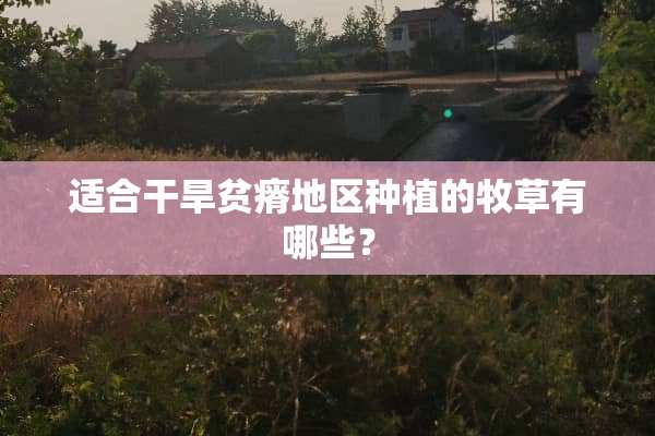 适合干旱贫瘠地区种植的牧草有哪些？