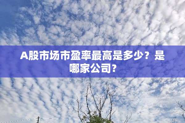 A股市场市盈率最高是多少？是哪家公司？