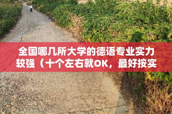 全国哪几所大学的德语专业实力较强（十个左右就OK，最好按实力排名）