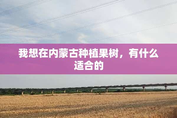 我想在内蒙古种植果树，有什么适合的
