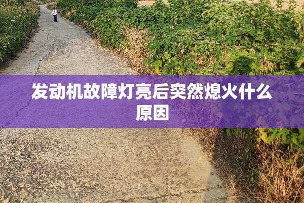 发动机故障灯亮后突然熄火什么原因