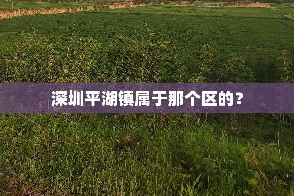 深圳平湖镇属于那个区的？