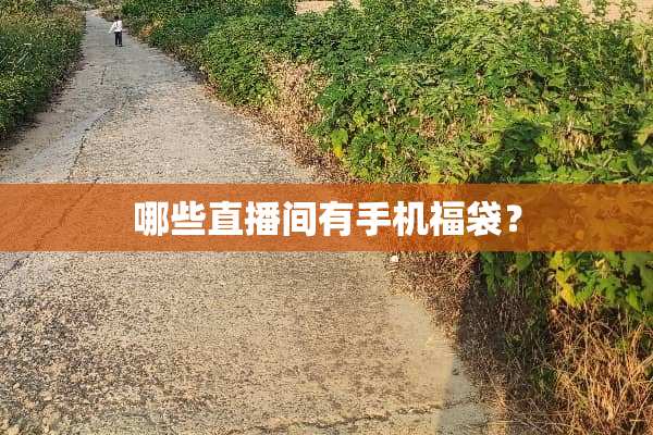 哪些直播间有手机福袋？