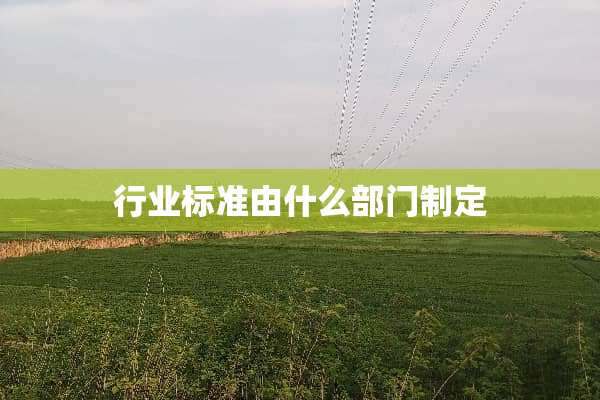 行业标准由什么部门制定