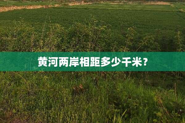 黄河两岸相距多少千米？