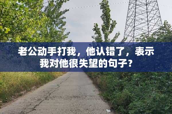 老公动手打我，他认错了，表示我对他很失望的句子？
