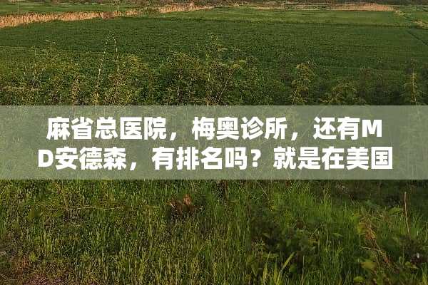 麻省总医院，梅奥诊所，还有MD安德森，有排名吗？就是在美国地区的？