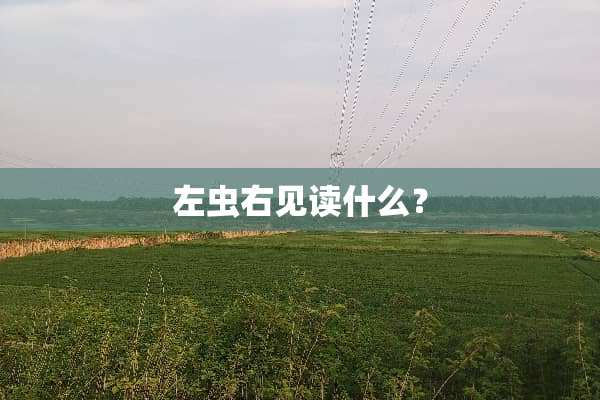 左虫右见读什么？