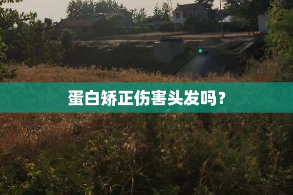 蛋白矫正伤害头发吗？