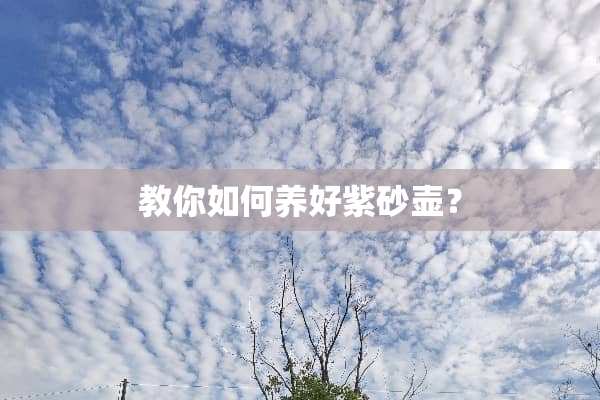 教你如何养好紫砂壶？