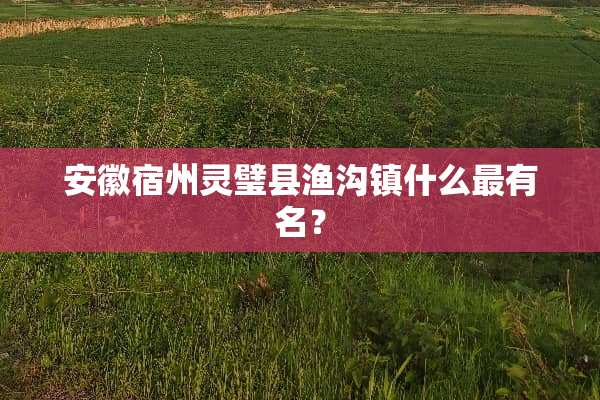 安徽宿州灵璧县渔沟镇什么最有名？