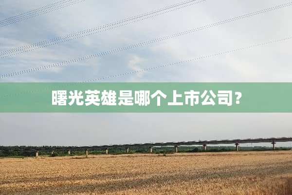 曙光英雄是哪个上市公司？