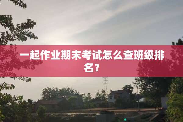 一起作业期末考试怎么查班级排名？