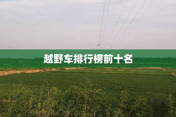 越野车排行榜前十名