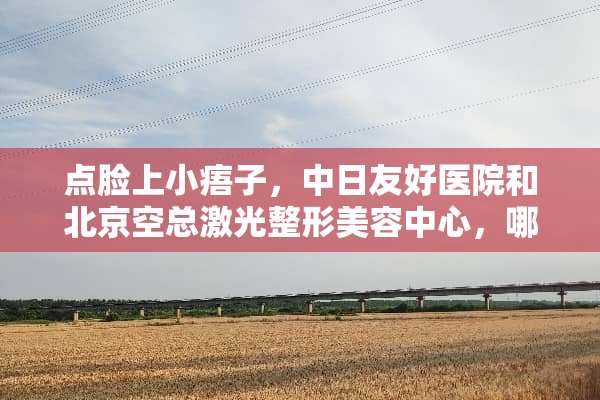 点脸上小痦子，中日友好医院和北京空总激光整形美容中心，哪个好？