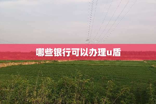 哪些银行可以办理u盾
