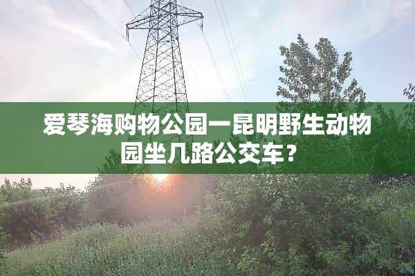 爱琴海购物公园一昆明野生动物园坐几路公交车？