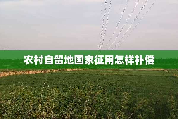 农村自留地国家征用怎样补偿