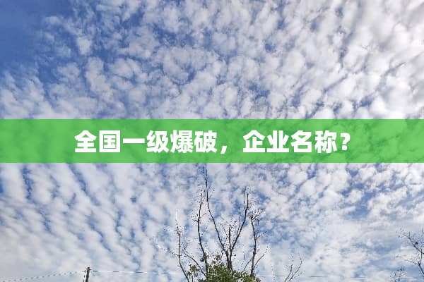 全国一级**，企业名称？