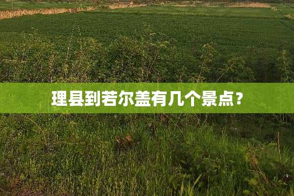 理县到若尔盖有几个景点？