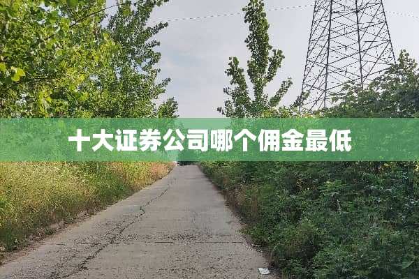 十大证券公司哪个佣金最低
