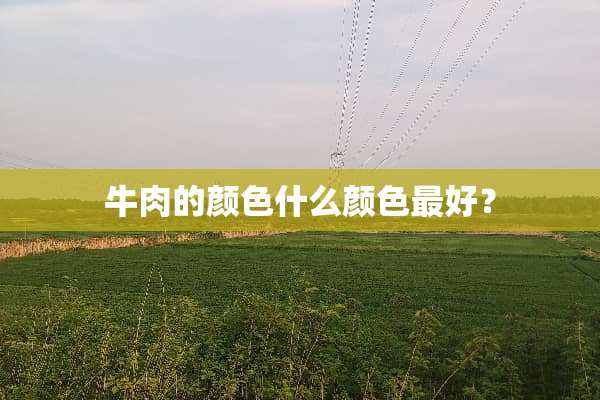 牛肉的颜色什么颜色最好？