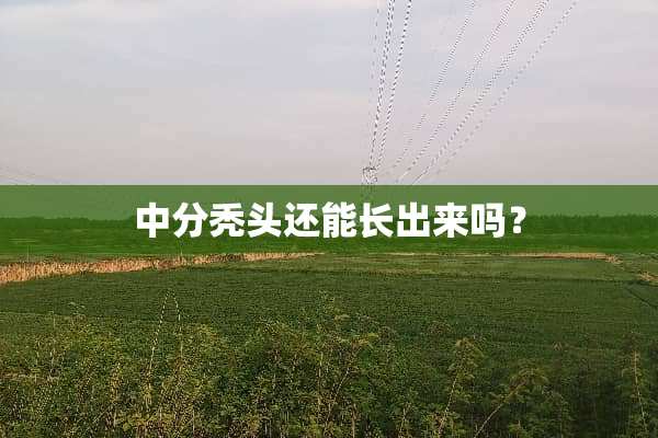 中分秃头还能长出来吗？