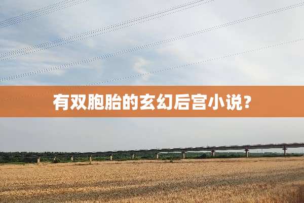 有双胞胎的玄幻后宫小说？