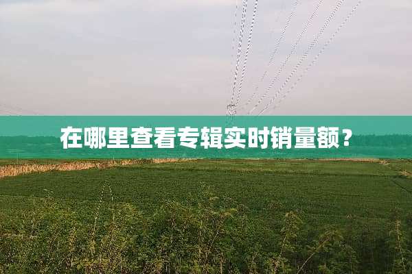 在哪里查看专辑实时销量额？