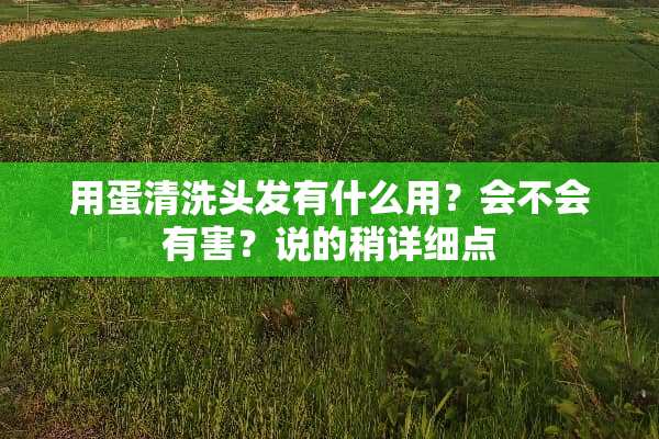 用蛋清洗头发有什么用？会不会有害？说的稍详细点