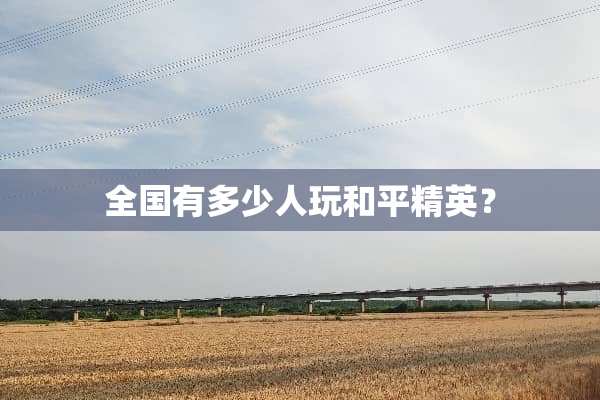 全国有多少人玩和平精英？