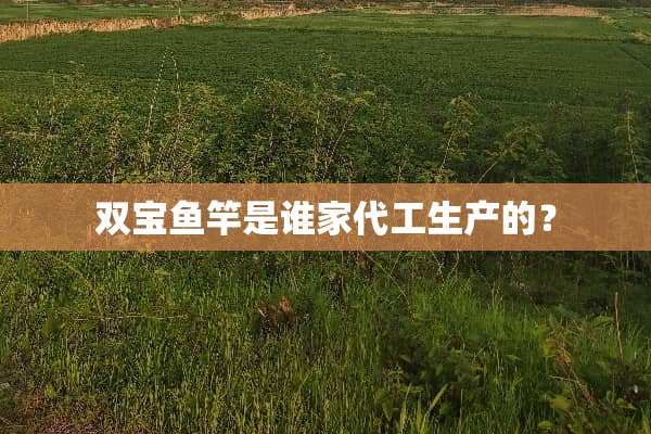 双宝鱼竿是谁家代工生产的？