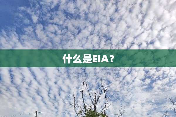 什么是EIA？