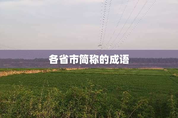 各省市简称的成语