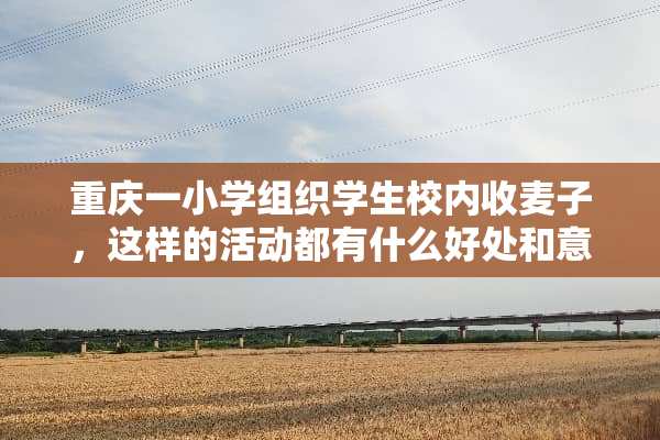 重庆一小学组织学生校内收麦子，这样的活动都有什么好处和意义？