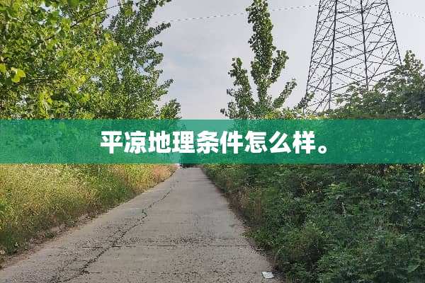 平凉地理条件怎么样。